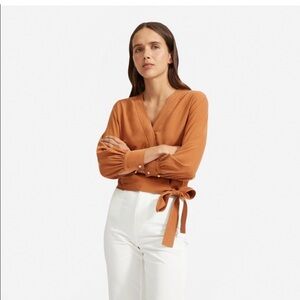 Everlane Terracotta Silk Wrap Top Size 0 (Washable Silk)